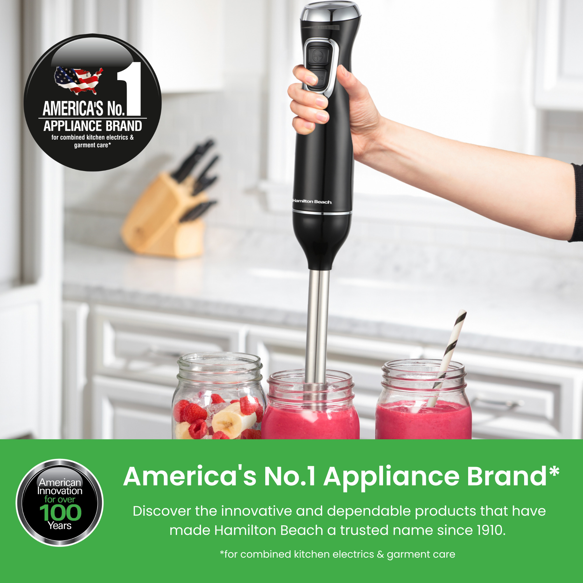 HB5023 - GS Hamilton Beach Hand Blender Set 8 HB5023 - GS Hamilton Beach Hand Blender Set